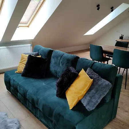 Gory Bardzkie 公寓 *