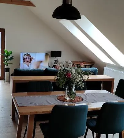 Gory Bardzkie 公寓 *