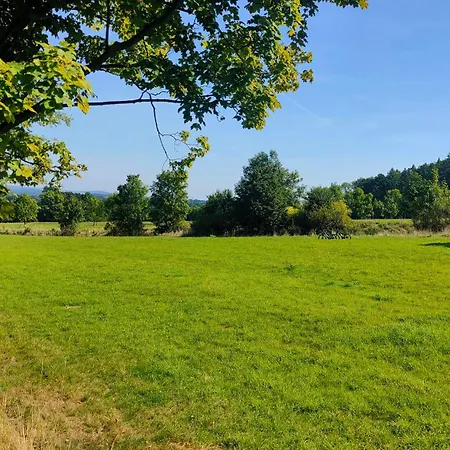 Gory Bardzkie 公寓 *