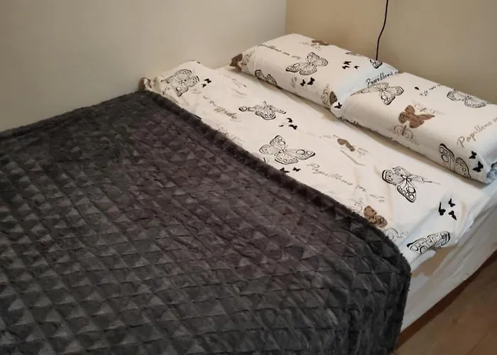 Gory Bardzkie 公寓 *