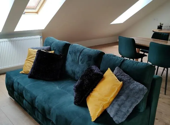 Gory Bardzkie 公寓 *