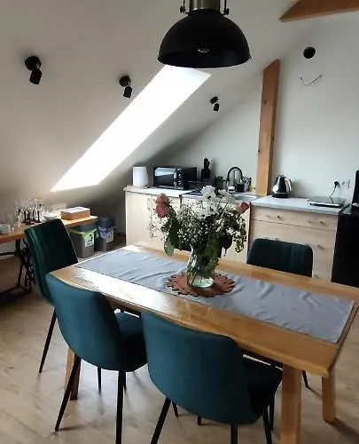 公寓 Gory Bardzkie 巴尔多