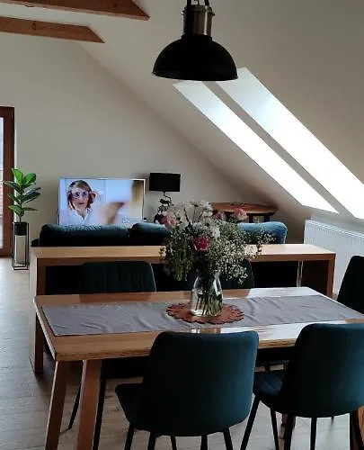 Gory Bardzkie 公寓 *