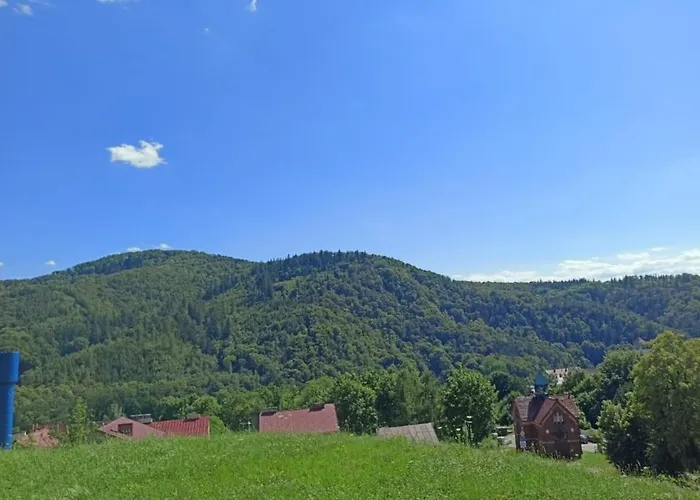 Gory Bardzkie 公寓