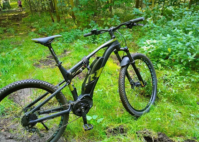 Gory Bardzkie 公寓 *