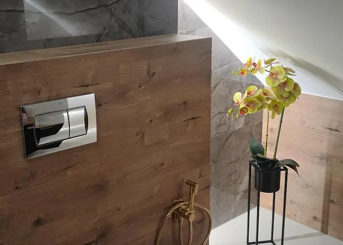 Gory Bardzkie 巴尔多