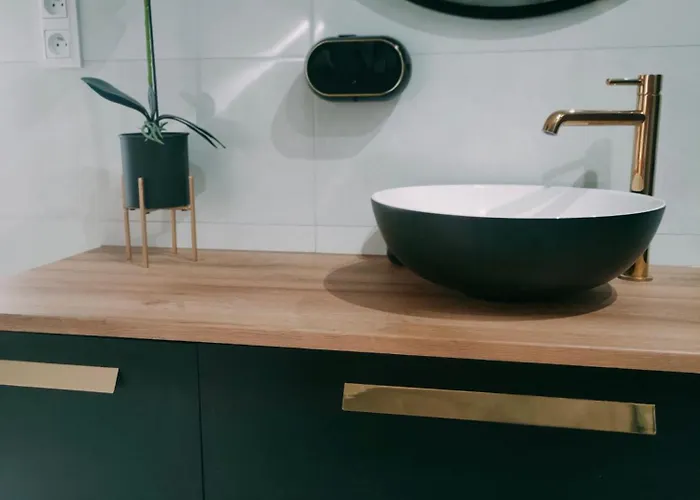 Gory Bardzkie 公寓